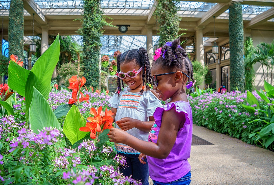 Our Epic Summer Bucket List of Things To Do in Philly with Kids See exotic plants from around the world and spot wildlife in the Meadow Garden at Longwood Gardens. Photo by F. Fusco/Visit Philladelphia