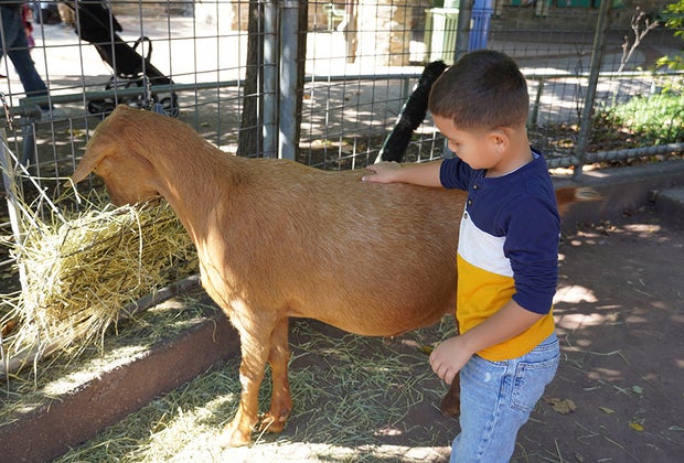 KidZooU Playground and Faris Family Education Center