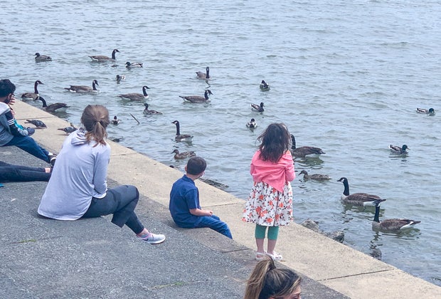 Things To Do in Georgetown DC: Georgetown Waterfront Park