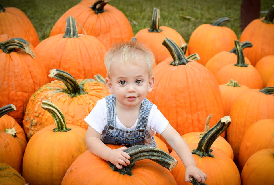 The Best Pumpkin Patches in Connecticut Worth the Drive for 2025 The best pumpkin patches in Connecticut offer a great opportunity to explore the outdoors with a fun fall activity! Photo courtesy of Brown's Harvest