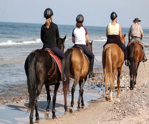 Combine sightseeing and horseback riding with a Galveston beach tour.