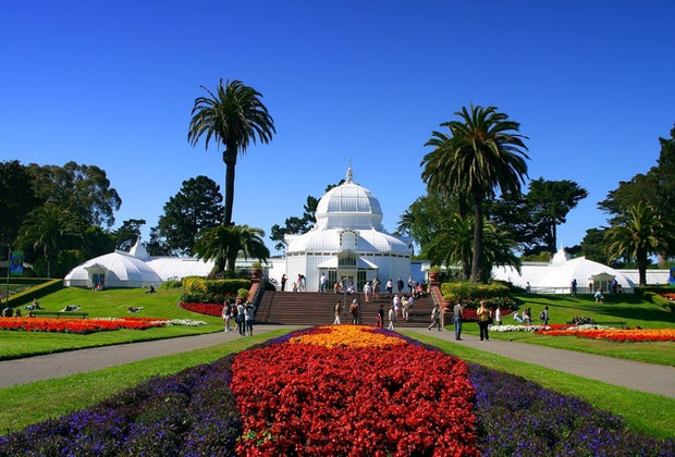 Things To Do with San Francisco Babies Before They Turn 1: Golden Gate Park