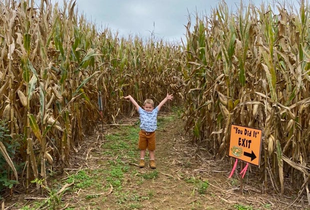 Jumbo's Pumpkin Patch Corn Maze