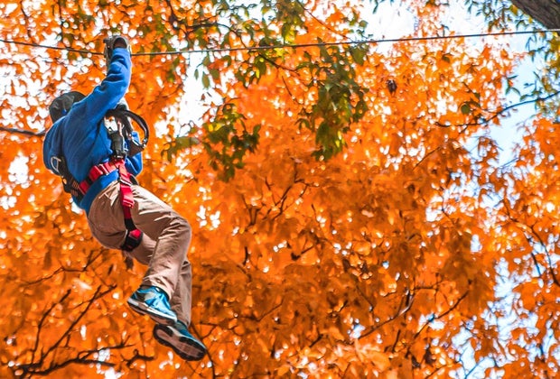 Image of child on zipline with New England foliage in background