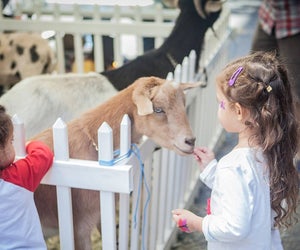 Celebrate spring at this fun fundraiser for special needs kids at the Friendship Circle. Photo courtesy of the organization