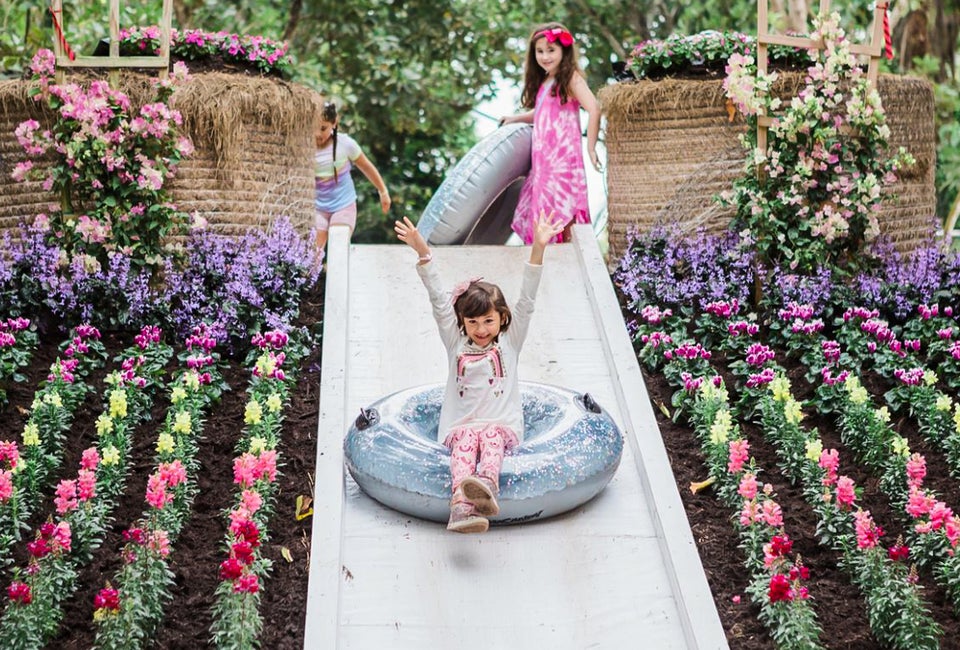 Enjoy the colorful blooms of spring at Tinez Farms through April 9, 2023. Photo courtesy of Tinez Farms
