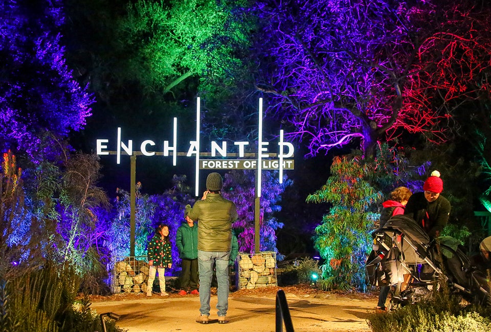 Best Holiday Lights Drive-Thrus and Christmas Light Shows in Los Angeles Enchanted: Forest of Light. Photo by Kathryn Rapier, courtesy of the event.