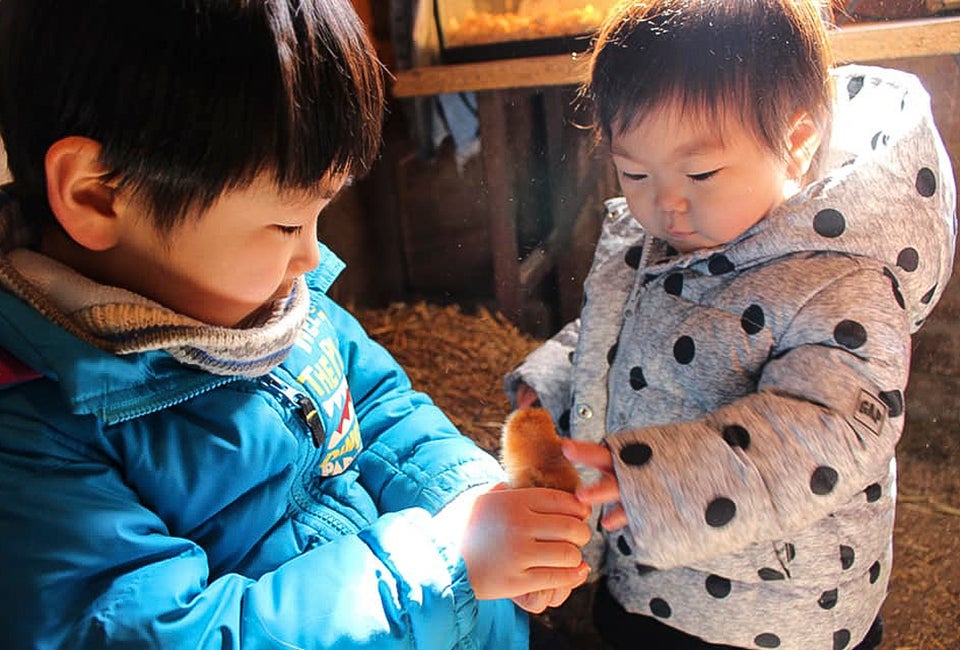 Farms with Animal Encounters and Petting Zoos Near Chicago Hold baby animals at Enjoy Pioneer Farm. Photo courtesy of Pioneer Farm, Facebook