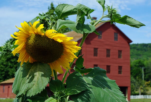 Pittsfield, Ma with kids Hancock Shaker Village