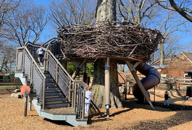 Climb into the fantastic bird's nest at the Children's Zoo section of Franklin Park Zoo