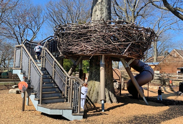 Climb into the fantastic bird's nest at the Children's Zoo section of Franklin Park Zoo