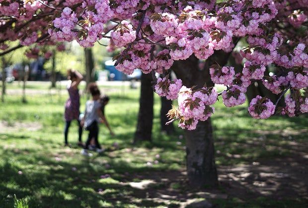 Best things to do in Astoria, Queens: Socrates Sculpture Park