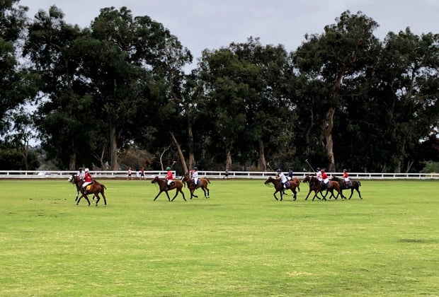 Fall Activities near Los Angeles for Kids: Polo