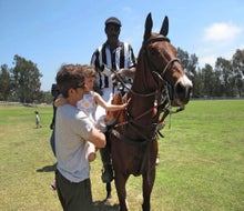Meet the horses after the (free) polo matches at Will Rogers State Park. 