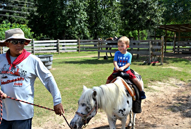 Old MacDonald's Farm Houston