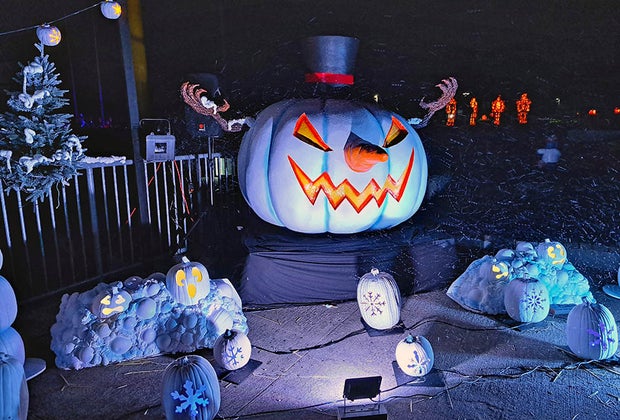 Pumpkin World: Christmas pumpkins