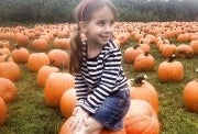 Mostly Free & Fun Things To Do With NJ Kids This Weekend Oct 4-5: Pumpkin Festivals, Harvest Hayride, Book Bonanza & More!