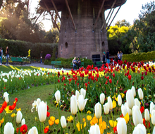 Bookmark these hidden gems in SF. Photo by Yesenia Diaz-Flores via Canva