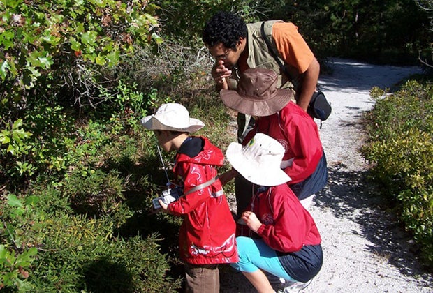 See plenty of animals during a hike through the Quogue Wildlife Refuge