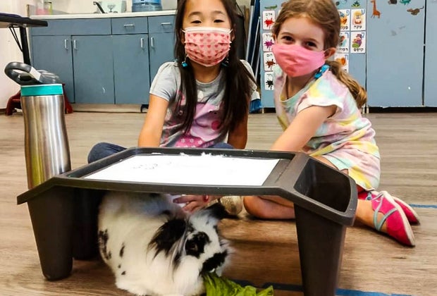 Find an Amazing Petting Zoo near Los Angeles: Reptacular