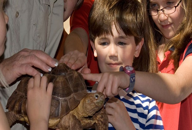 My Reptile Guys, birthday party entertainer in Houston