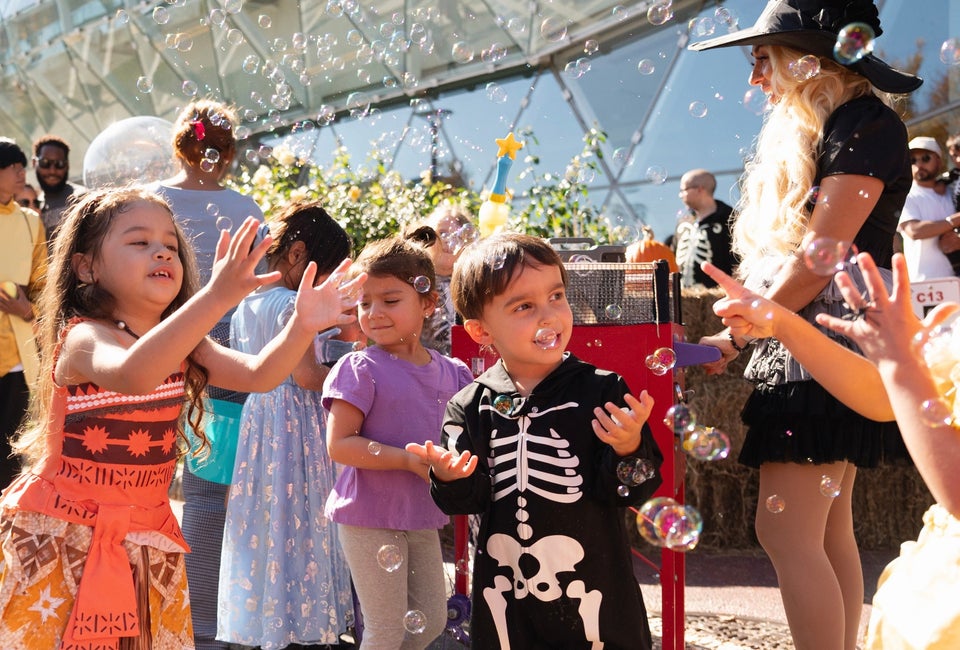 Trick-or-Treating at Ridge Hill
