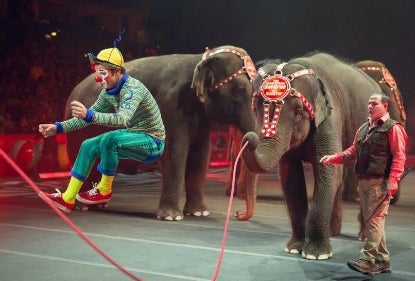 Weekend Fun with LA Kids: Circus Xtreme, Old Fort MacArthur, and Free Slurpees , July 11 - 12