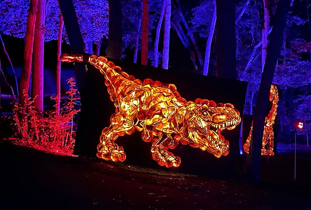 Rise of the Jack O'Lanterns Opens on Long Island T rex