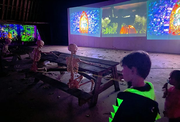 Rise of the Jack O'Lanterns Opens on Long Island skeleton audience