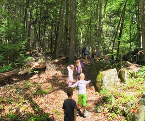 Explore the woods at the Roaring Brook Nature Center's camp. Photo courtesy the camp