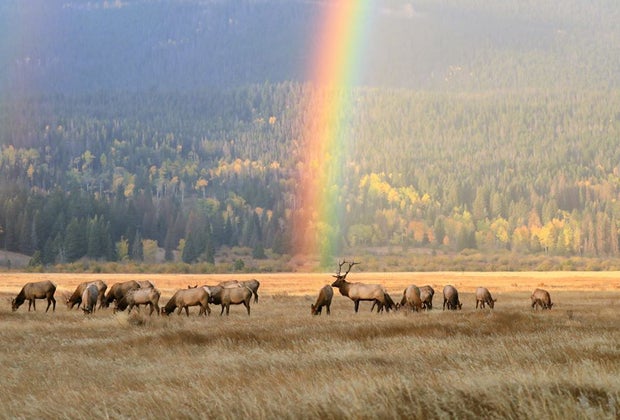 Visit National Parks in 2022 on These Free Entrance Days: The Rocky Mountains