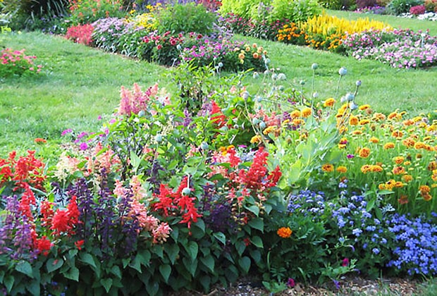 Rutgers Gardens features beautiful flooms