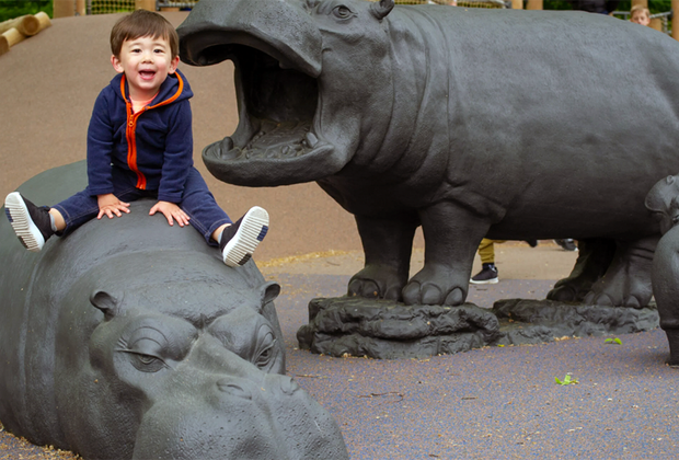 Boy riding on play hippos at a park
