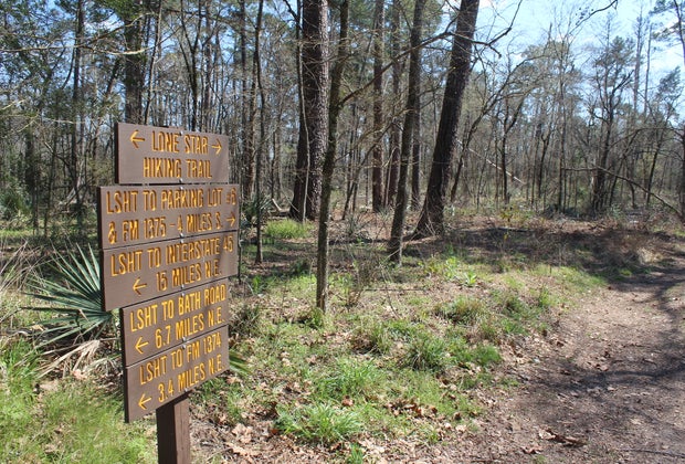 Lone Star Hiking Trail in the Stubblefield Lake Recreation Area in the Sam Houston National Forest