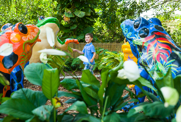 The Children’s Rainforest at Marie Selby Botanical Gardens