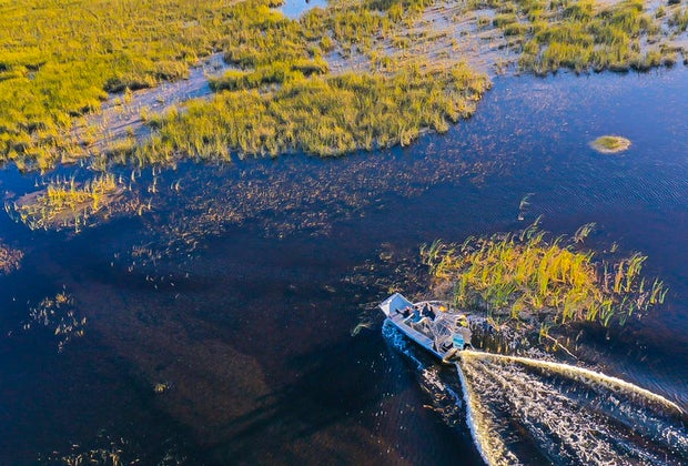 Sawgrass Recreational Park in the Everglades