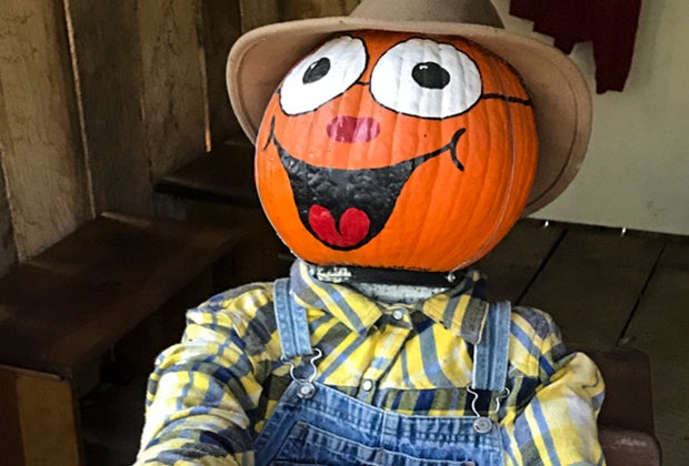 Image of Pumpkintown USA figure - Things to do in CT that everyone will love