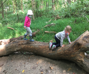 Discover the beauty and wonder along the trails at Schuylkill Saturday: Self-Guided Nature Exploration for Families. Photo courtesy of the center 
