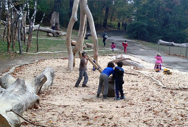 Explore the Zucker Natural Play area in Prospect Park