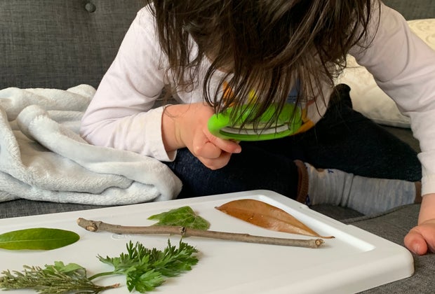 Screen-Free Toddler Activities: Nature Collecting