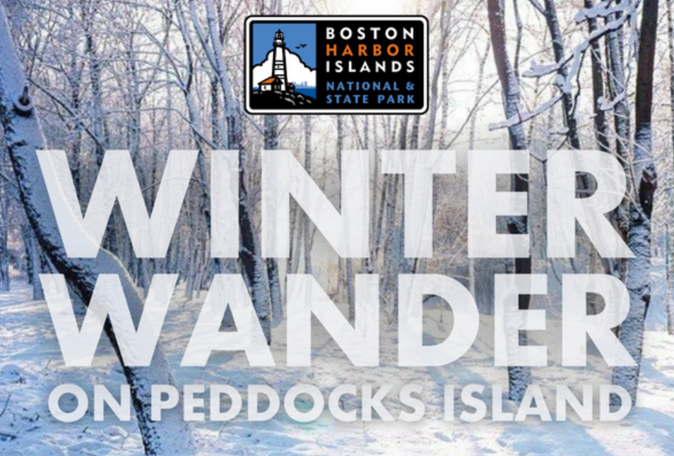 Winter Wander on Peddocks Island