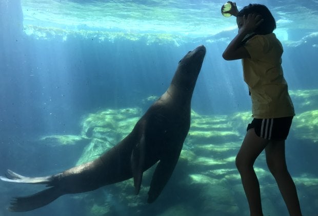 Fall Activities near Los Angeles for Kids: Aquarium of the Pacific