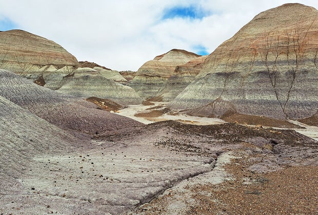 Petrified Forest National Park; Sedona with Kids: Best Things To Do in Sedona, AZ