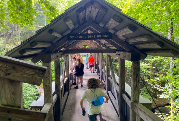 Hiking the Gorgeous Flume Gorge in New Hampshire with Kids