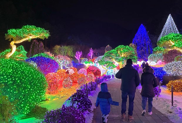 Garden of Morning Calm in Korea