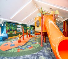 Slide into the Redwood Romp Play Space. Photo courtesy of Santa Clara County
