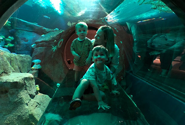 Best things to do with preschoolers in NYC: New York Aquarium