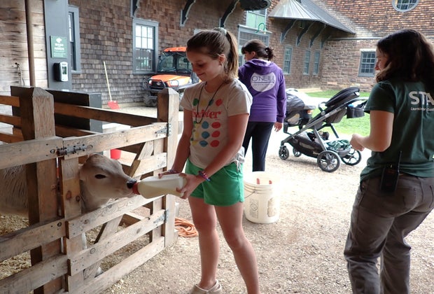 Burlington, VT with Kids: Shelburne Farms
