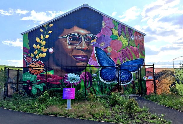 Penn Shoreline Clean-Up at Shirley Chisholm State Park 25 Free Things To Do in NYC This Winter