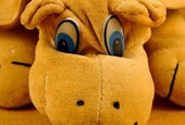 Keep a Special Sick Day Toy